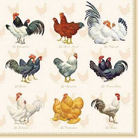 20 Napkins Chicken Species Table Decoration Decoupage Decoupage 33 x 33 cm