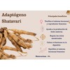 Hongos Adaptógenos - Hongo Shatavari - 120 Cápsulas - Suplemento