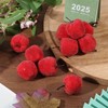 CHGCRAFT 10Pcs Artificial Foams Apples Mini Red Apple Foam Fruit