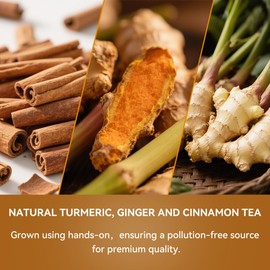 BEICAI 120g/60-Count Premium Turmeric Ginger Cinnamon Tea Bags | 100% Natural, Triangular Corn Fiber for Full-Bodied Brew | Supports Digestive & Immune Health (60)