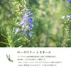 Natural 100% Rosemary Cineol Oil 30ml Essential Oil Essential Oil