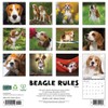 Beagle Rules 2026 12" x 12" Wall Calendar