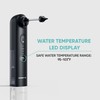 EarBrite Electric Earwax Removal Kit - Professional Water Powered Flush