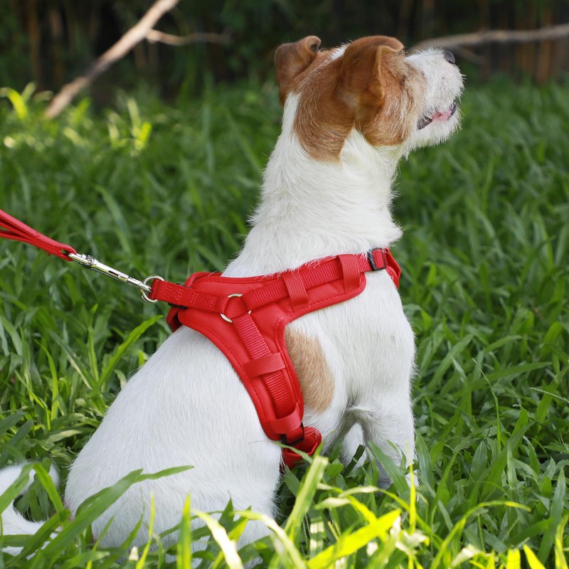 Dog Harness Small Medium Large Dog Vest Harness Step In