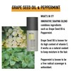 KMS HAIRPLAY Flexible Hold and Shine Liquid Wax Styler ,