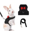 AIITLE Rabbit Harness and Leash Set with Cute Bow, Soft