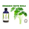 Organic Herbal Remedies 100ml Gotu Kola Tincture