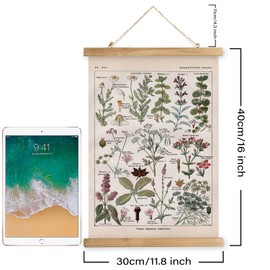 XIAOAIKA Vintage Botanical Herbs Illustration Poster - Retro Medicinal Plant Chart with Wooden Frame - Educational Herbal Reference for Home, Kitchen, or Classroom Decor 12 x 16 Inches