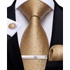 DiBanGu Plain Tie for Men Formal Silk Tie and Pocket