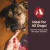 Wellness CORE Healthy Joints Dog Treats, Natural, Grain Free, 8