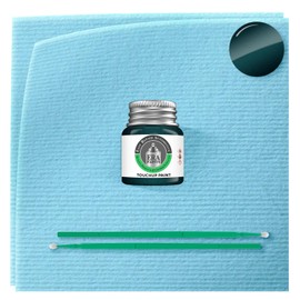 ERA Paints 751 - Evergreen Pearl for TOYOTA Exact Match Automotive Touch Up Paint Jar - Basic Kit