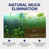 MuckMaid Pond Bottom Enhancer - Natural Lake Bottom Conditioner -
