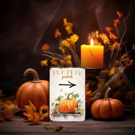 Art Decoration Fall Harvest Vintage Metal Tin Signs Pumpkins Patch Outdoor Decor Pumpkin Lover Gift Fall Decor for Living Rooms Bedroom Bathroom Garage Decoration 8.00"x12.00"