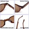 JUDOO Retro Small Round Sunglasses for Women Men Vintage Circle