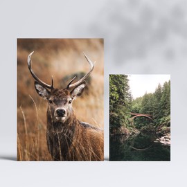 Nacnic - Set of 6 Winter Nature Pictures - Photography-style Wall Art Prints for Interior Decoration - Natural Winter Landscapes - A4 & A5 - Unframed