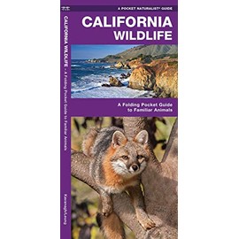 California Wildlife: A Folding Pocket Guide to Familiar Animals (Wildlife and Nature Identification)