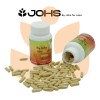 Pastillas de Jengibre y Cúrcuma By Johs Sin Sabor Suplemento