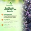 Outsidepride Dark Opal Basil Seeds – 1000 Pieces Annual Purple