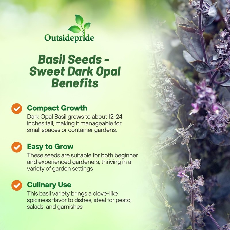 Outsidepride Dark Opal Basil Seeds – 1000 Pieces Annual Purple