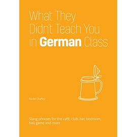 What They Didn't Teach You in German Class: Slang Phrases for the Cafe, Club, Bar, Bedroom, Ball Game and More (Slang Language Books)