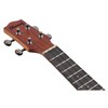 Ibanez, 4-String Ukulele, Open Pore Natural, Concert (UKC100OPN)