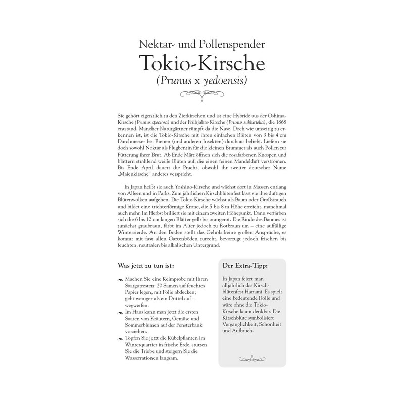 WK 2024 A Year in My Garden: With Many Useful