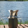 Pelican Coffee Dripper 2 Camping Outdoor Folding Compact Coffee Dripper