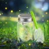 Insect Catcher Kit Bug Collecting Jar with Handle Net Indoor