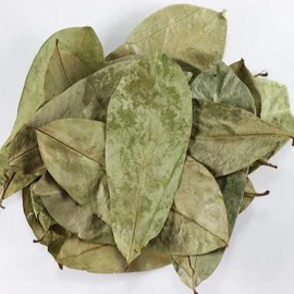 Soursop  Dried Leaves, Hojas de Guanabana for Tea - Specification: Soursop , Portion: 4oz