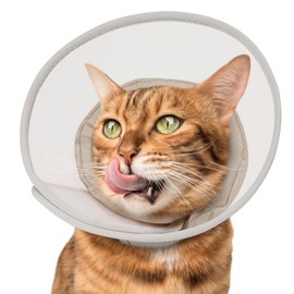 Cat Cone Collar Soft: Comfortable Waterproof Mesh Recovery Cone After Surgery to Stop Licking and Scratch, Alternative to Plastic Elizabeth Head/Neck Cone
