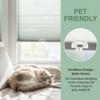 DC,CLISENCE 2 Pcs Shade Pulls, Levolor Blinds Parts, Clear
