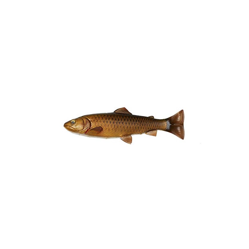 SAVAGE GEAR 4D PULSETAIL Trout 6 PULG SPT150-C-CARP