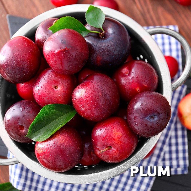 Zermat Nicole, Fragrance for Women, Warm Floral-Warm Scent 2 Fl.