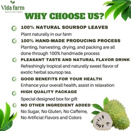 VIDA FARM 215+ Dried Soursop Tea Leaves, Natural Whole Dried Soursop Leaves Graviola, Hojas de Guanabana Para Te Guanabana Leaf Herbal Tea