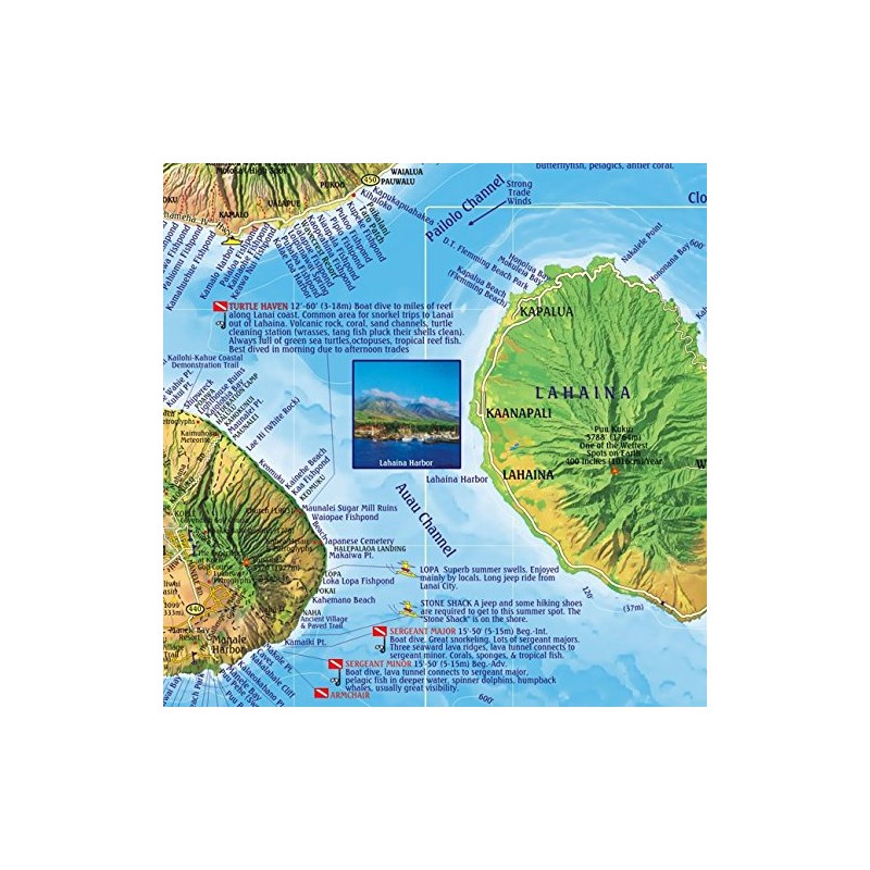 Maui Hawaii Dive & Snorkeling Guide Map Laminated Poster by