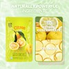 [Nokchawon] Citronade Pouches 10 Packs – Sweet and Tangy Korean