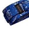 DiBanGu Conjunto de pañuelo y gemelos de seda para hombre