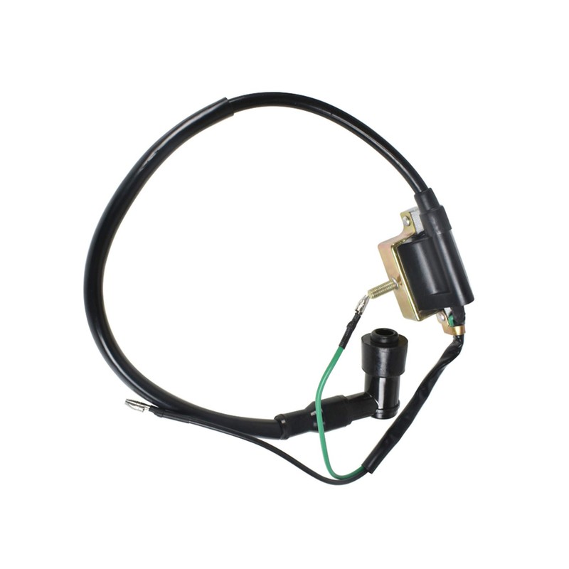 labwork Wiring Harness Ignition Coil CDI Magneto Stator Replacement for
