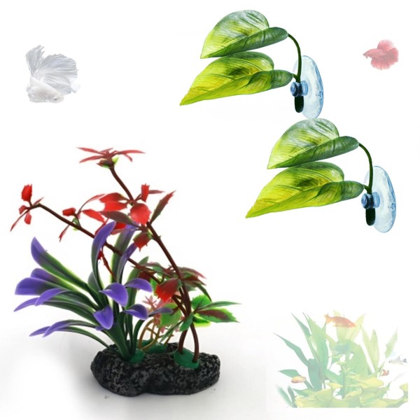 DODOAQUA Betta Fish Leaf Mat, Improving Beta Health Simulation Beta