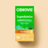 Synovis 갤러리아 수퍼바이오틱스 프로바이오틱스 유산균 30캡슐 1개 30일분 Galleria Superbiotics Probiotics 30 Capsules 1 Package for 30 Days