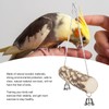 2pcs Pet Birds Parrots Wooden Swing Stand Bar Safety Toy