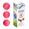 Mozi Sports Wind Cricket Balls - Indoor & Outdoor Soft