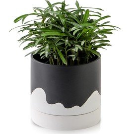Nihow Ceramic Plant Pot: 6 Inch Planter with Drainage Hole & Saucer for Indoor & Outdoor Plants - Cylinder Round Flower Pot for Succulent/Herbs/Violets - Black & Wave White