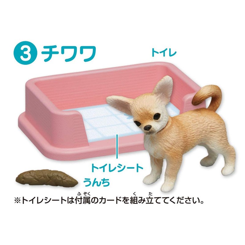 ania ania friends dog