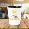 Bubble Hugs Summer Shot Glass - I Am Ray Of