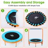 Jump Into Fun 36’’ Mini Trampoline for Kids, Orange &
