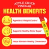 TEAZEN Apple Cider Vinegar Powder, 1500mg ACV, Sugar-Free, Low Calorie,