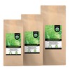 Horsetail Infusion (500g, 1.1lb), Horsetail Tea, Cut Field Horsetail, Gently
