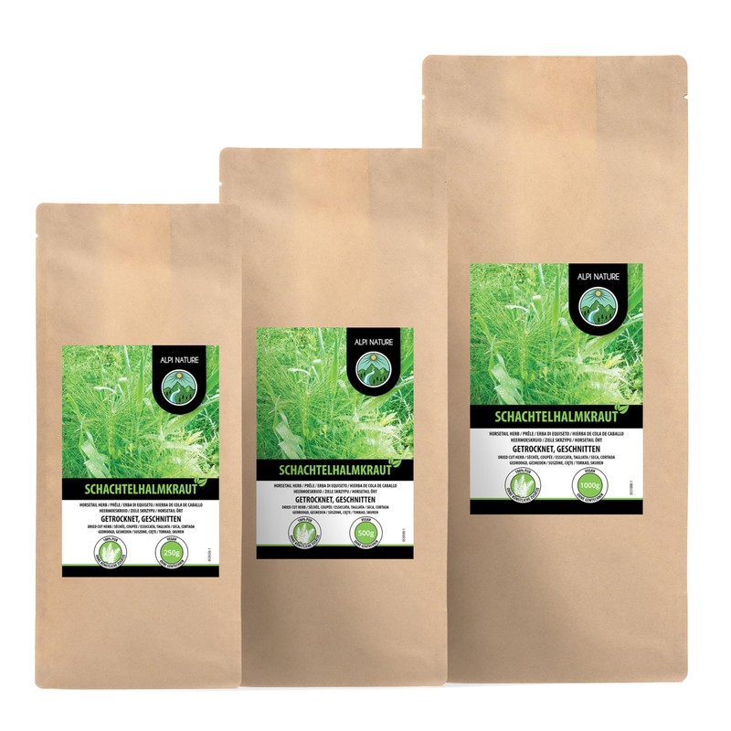 Horsetail Infusion (500g, 1.1lb), Horsetail Tea, Cut Field Horsetail, Gently