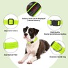 Light Up Dog Collars, LED Dog Collar Light Adjustable USB